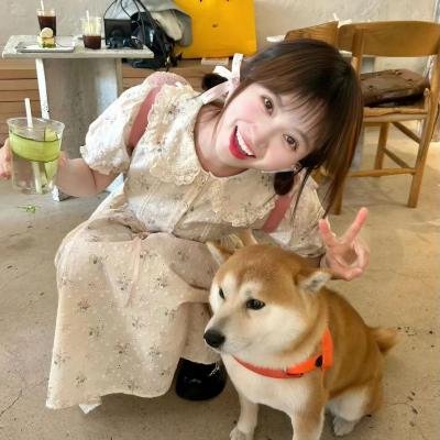 网虫日记