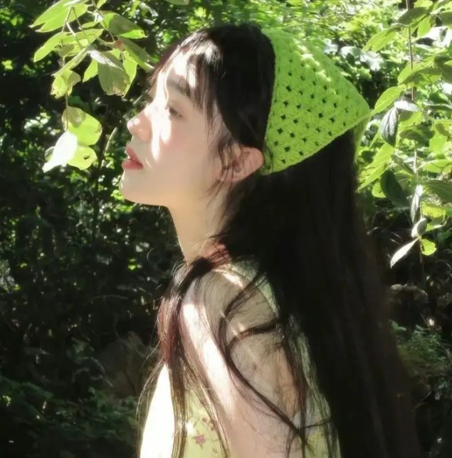 迁徙的鸟